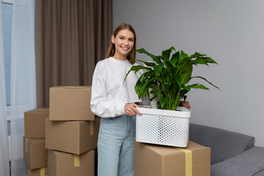 Person carrying a potted houseplant while moving with plants to a new home