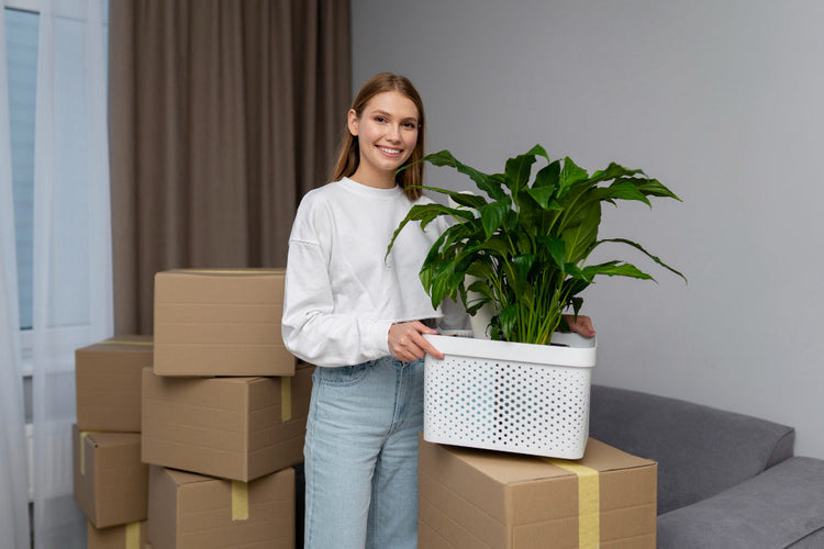 Person carrying a potted houseplant while moving with plants to a new home