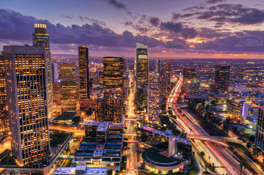 Los Angeles skyline and palm trees greeting newcomers moving to LA
